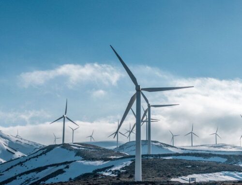 آیا گزینه های مقرون به صرفه دیگری وجود دارد؟